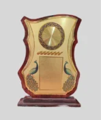 Diamond Recognition Award