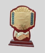 Custom Metal Shield Award