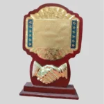 Custom Metal Shield Award